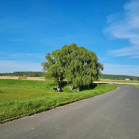 Stolzenhagener 7 *