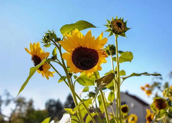 Apartman Stolzenhagener 7 Lunow-Stolzenhagen